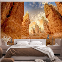 Desert Roche Panoramic wallpaper