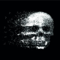 Skull Art Panoramic wallpaper