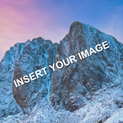 100% Custom Wallpaper