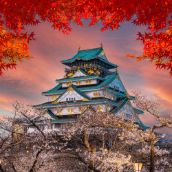 Japanese temple Panoramic Wallpaper