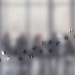 Paws Privacy Window film