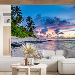 Palm Beach Panoramic wallpaper