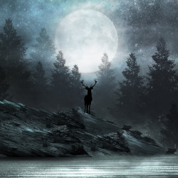 Forest deer Panoramic wallpaper