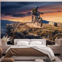 VTT Panoramic Wallpaper