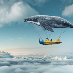 Whale Fairy Plane Panoramic wallpaper