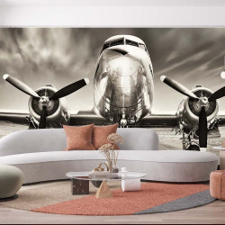 Vintage Plane Panoramic wallpaper