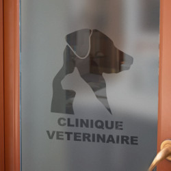 Veterinary clinic Logo Privacy Window film