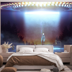 Alien Flying Saucer Panoramic wallpaper