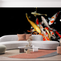 Fish Koi carp Panoramic wallpaper