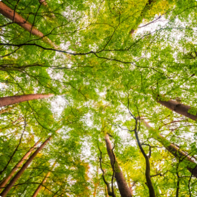 Science for climate protection